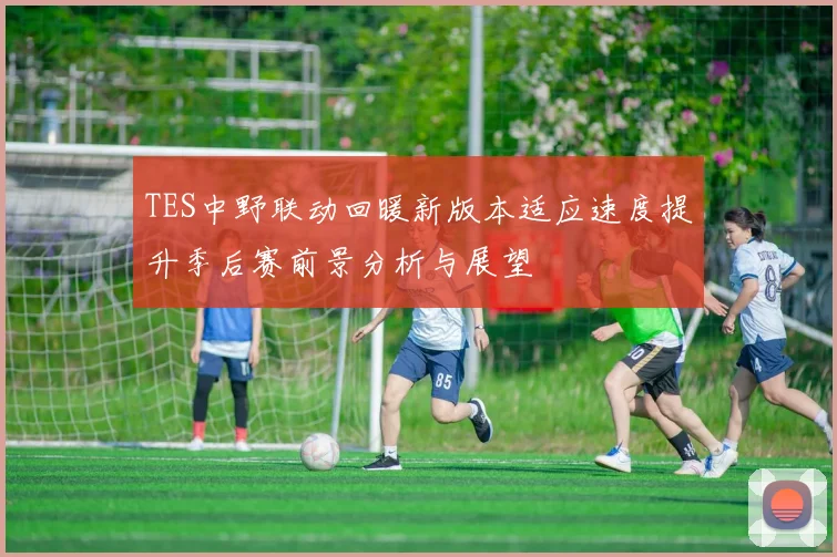 TES中野联动回暖新版本适应速度提升季后赛前景分析与展望